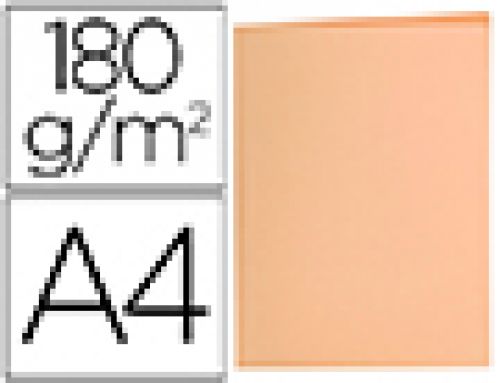 Classificador liderpapel din a4 laranja pastel 180gr , Liderpapel , 10420 , 8423473898042